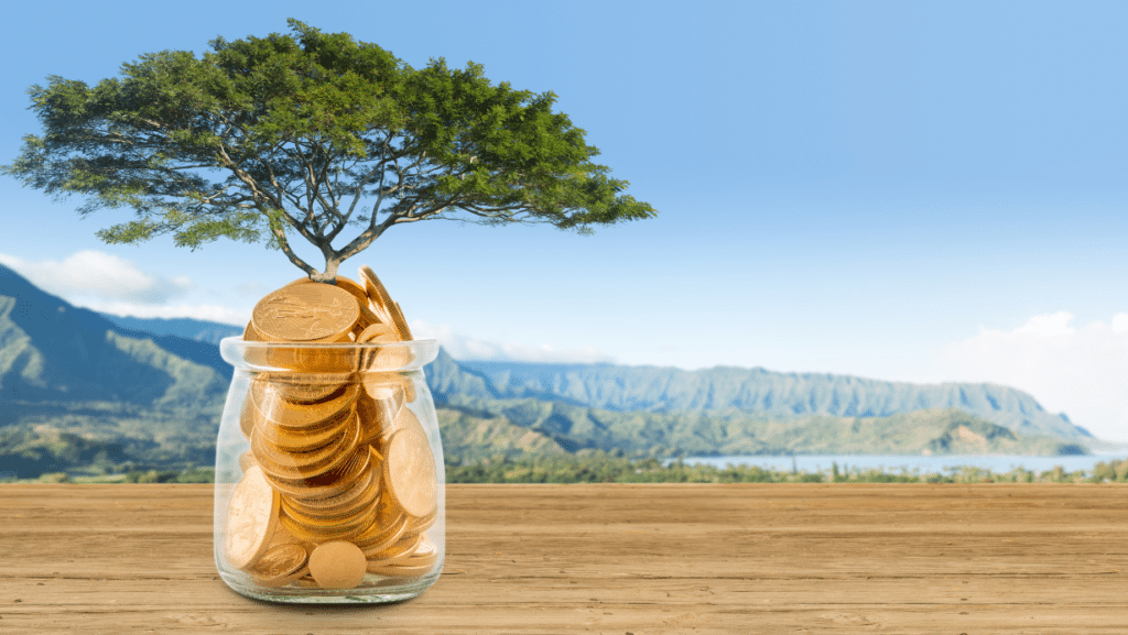 wealth growth