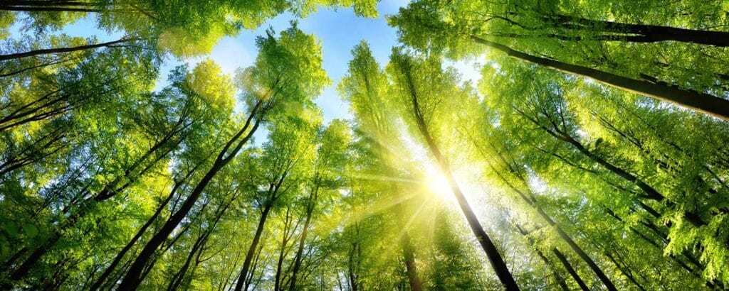 green jobs