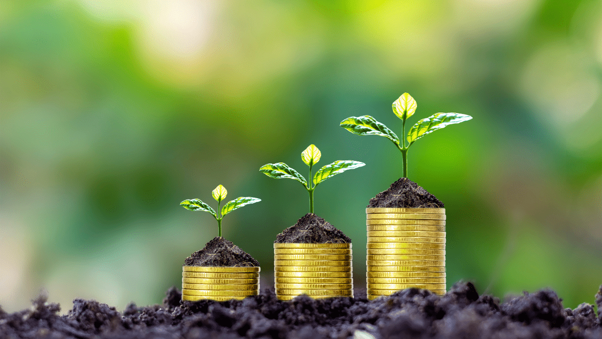 Becoming Financially Savvy: Simple Steps to Success
